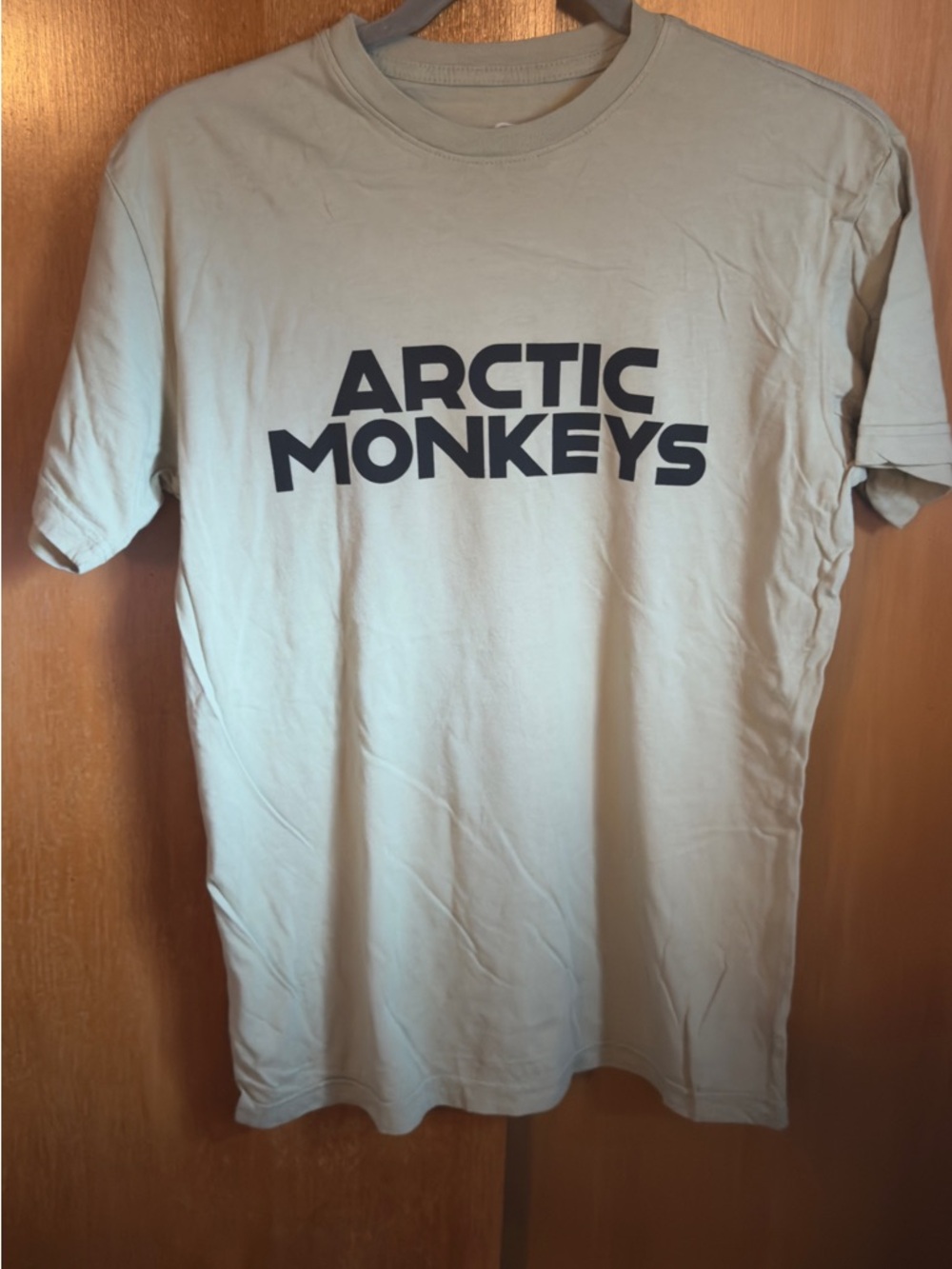 ❤️2/$25❤️ Arctic Monkeys Graphic Tee in Light Sage NWOT